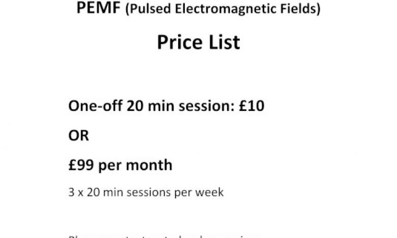 Pulsed Electromagnetic Fields Therapy