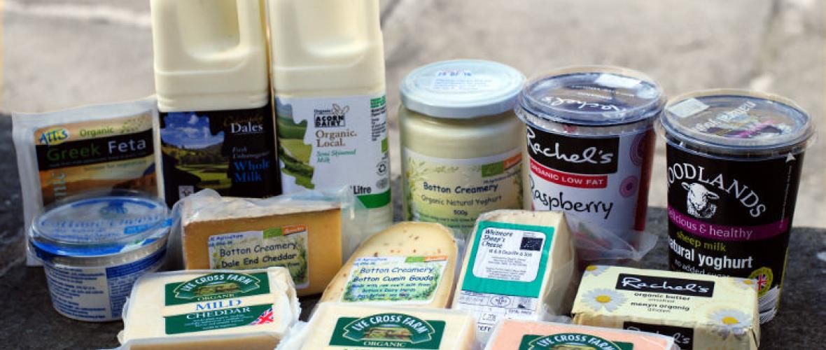 Dairy: cheeses, yoghurt, butter, milk & eggs